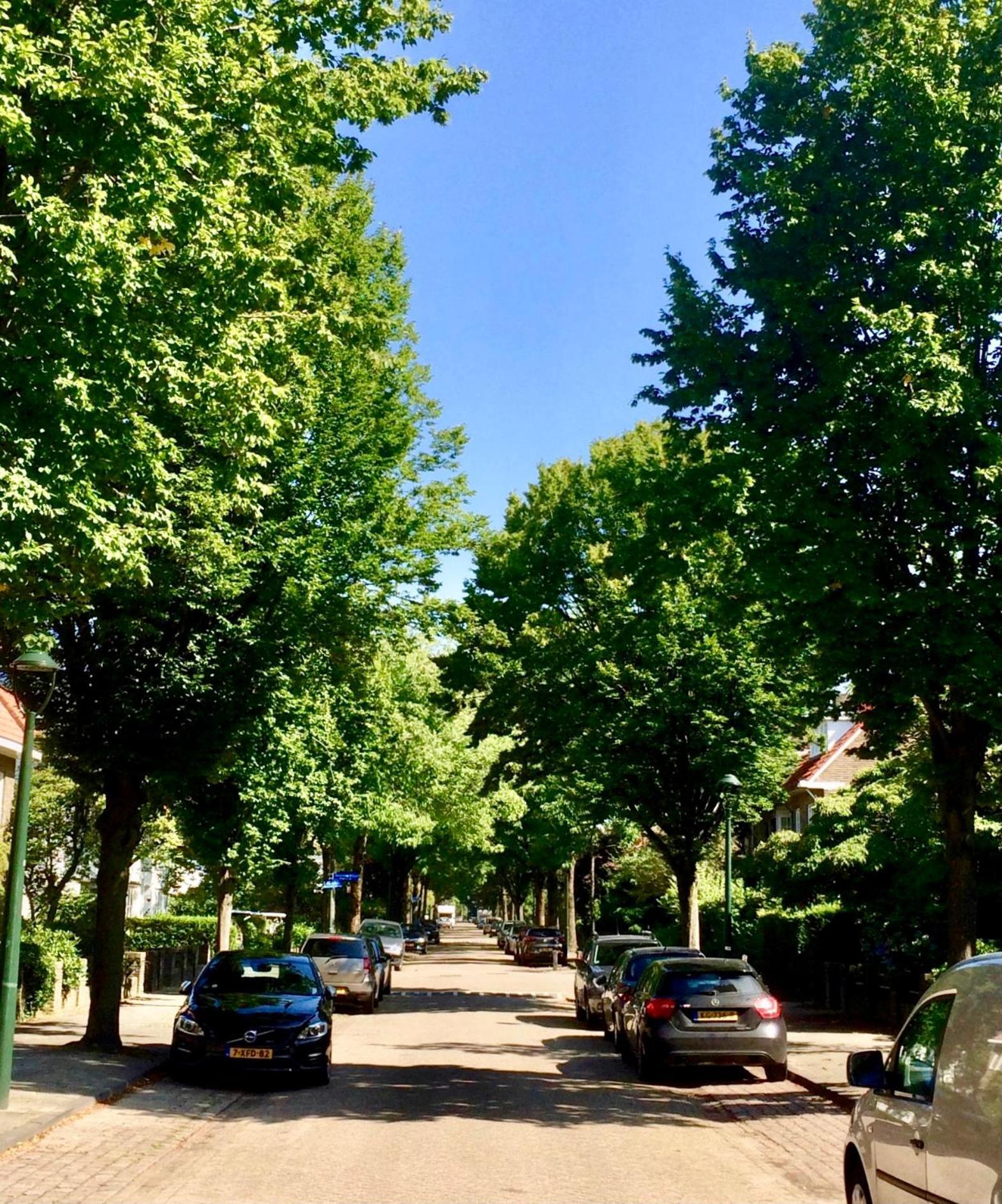 Eikenburg B&B Ейндговен Екстер'єр фото